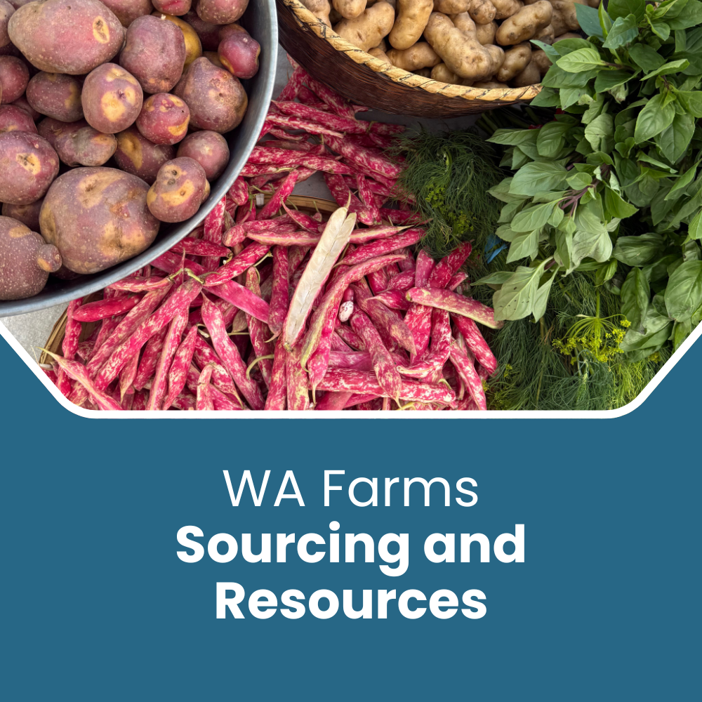 Grinter's Sunflower Farm, image size:1000x1000