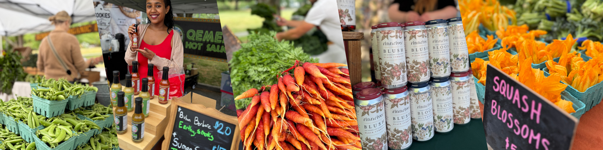 Madison Park Page Banner.png