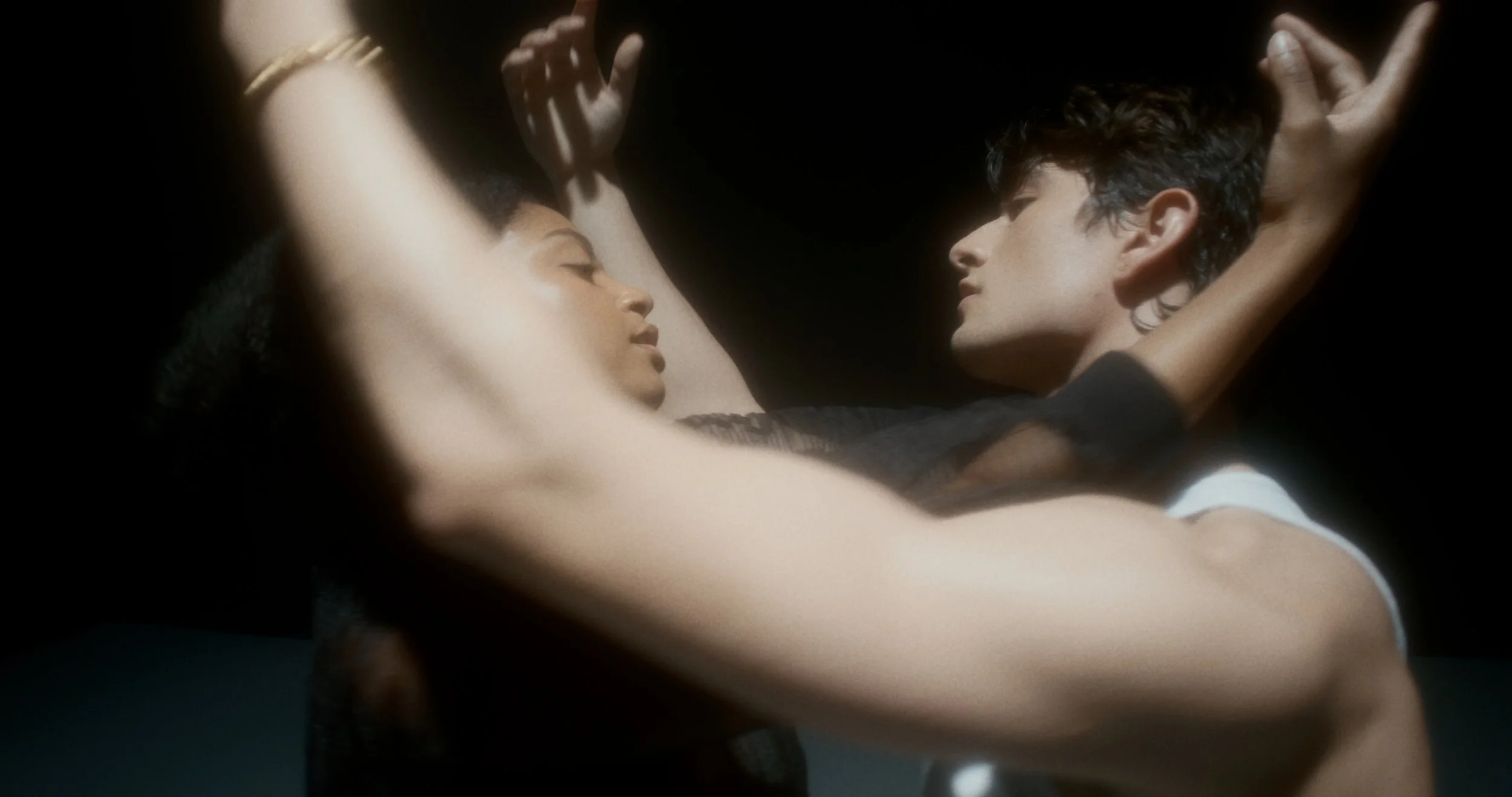 For a Thousand Lifetimes