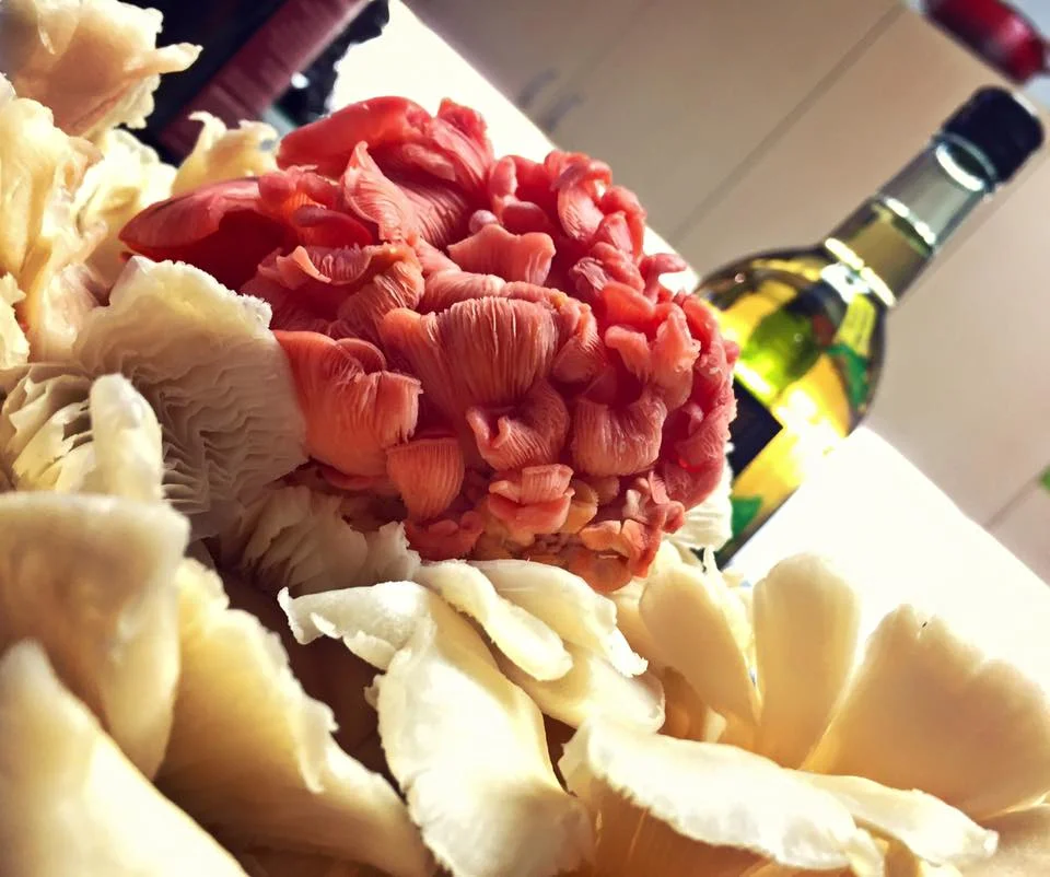 Photo by foodie Amy