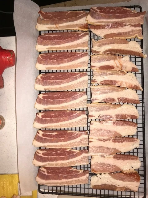 image1.jpeg