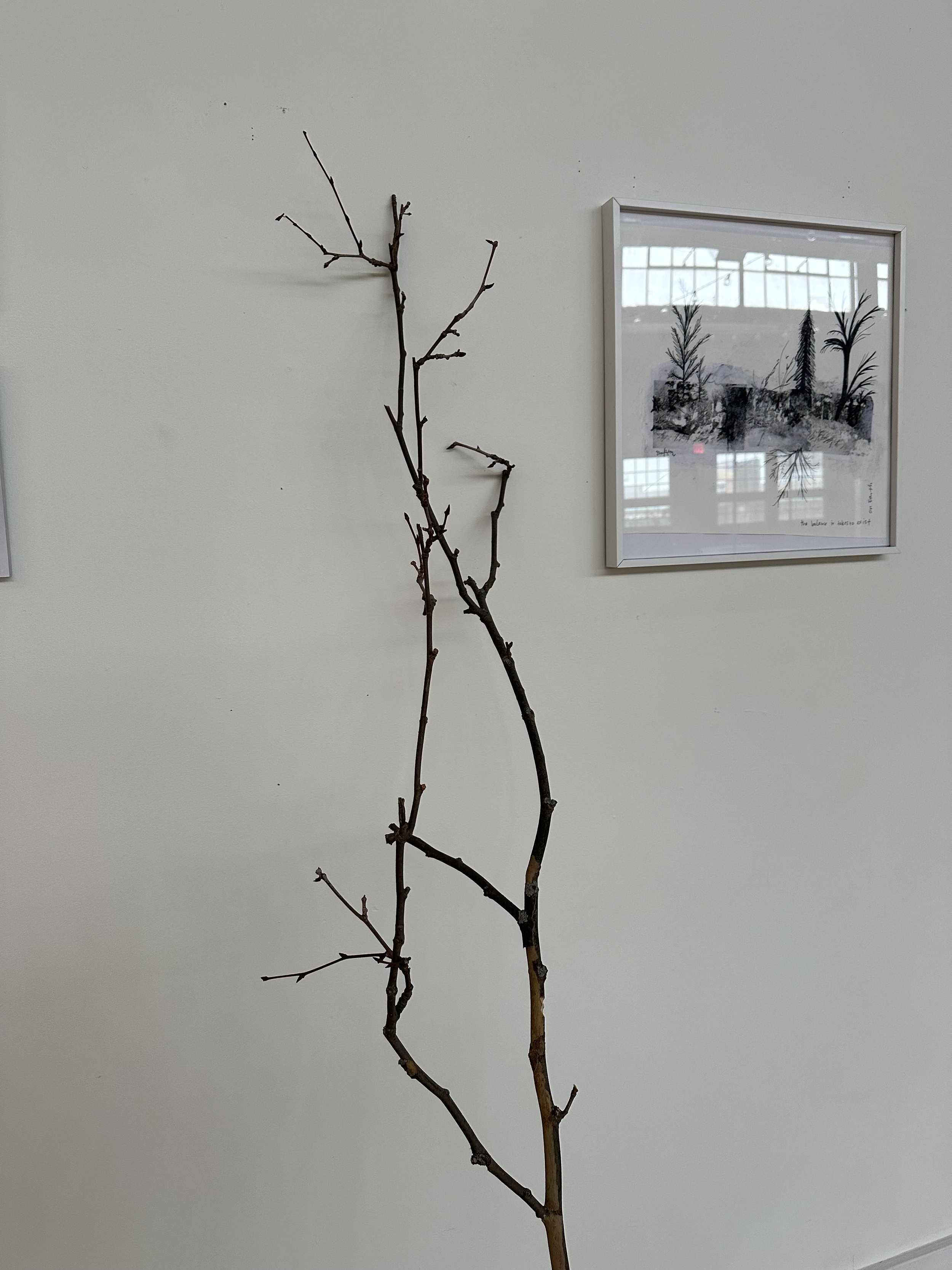 IMG_0807.jpeg