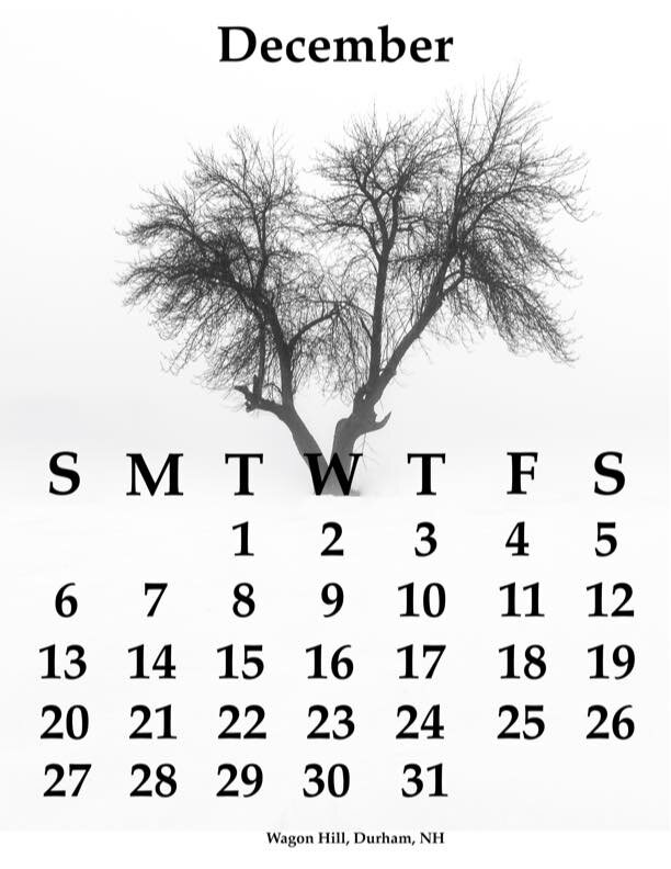 12December11x14.jpg