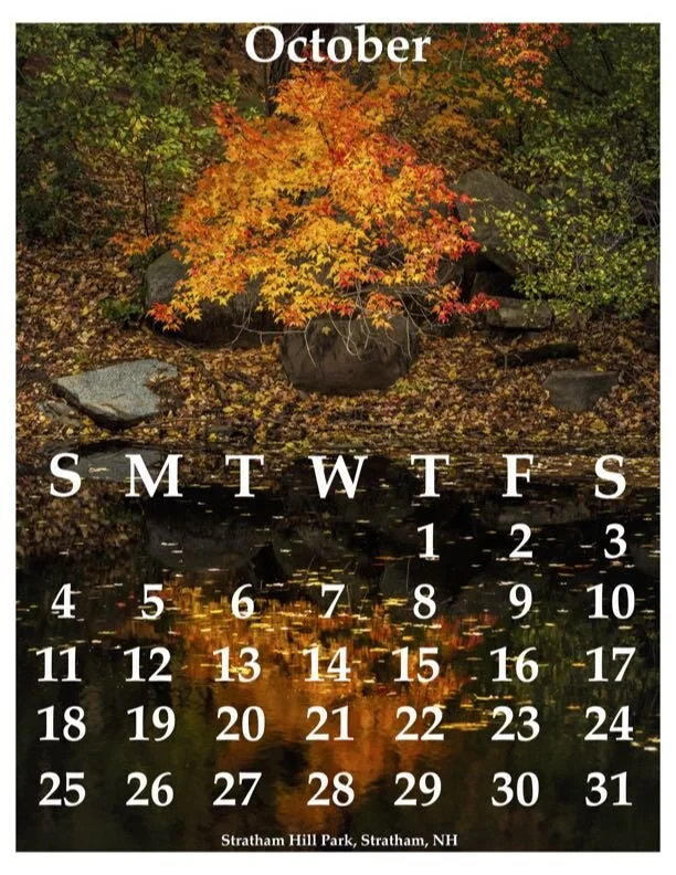 10October11x14.jpg