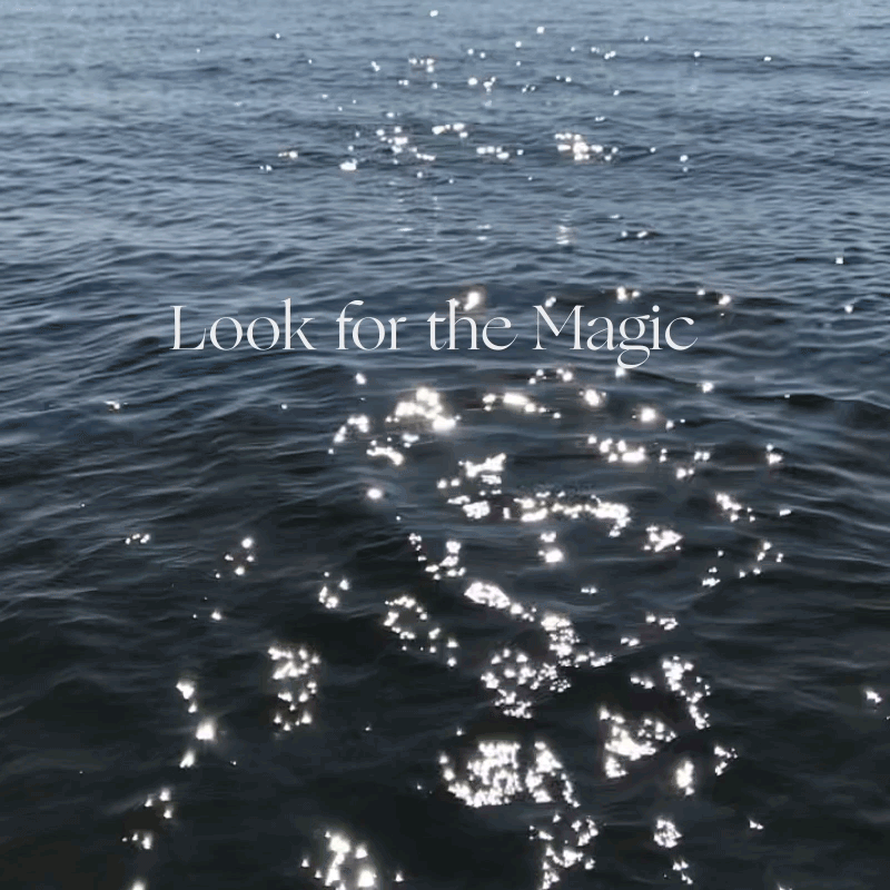 lake-video.gif