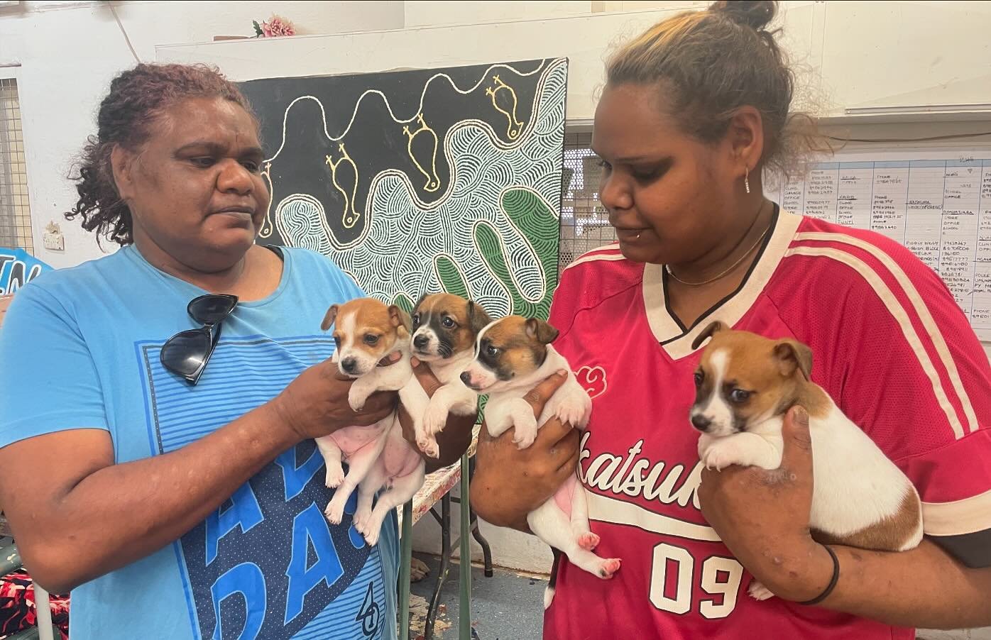 Ernabella artists Anne Nginyangka Thompson and Marika Ken with some of the explosion of puppies this year 

Massive shout out to @amrric and their incredible team of vets who come to the Lands to look after everyone&rsquo;s furry friends 

Also the w