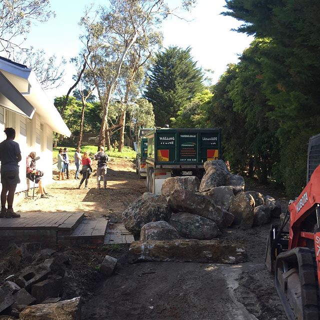 20 Tonne of granite boulders onsite today, sounds like a lot but usually about half of each one gets buried for an organic feel...
@bushprojects #landscape #design #landscapeconstruction