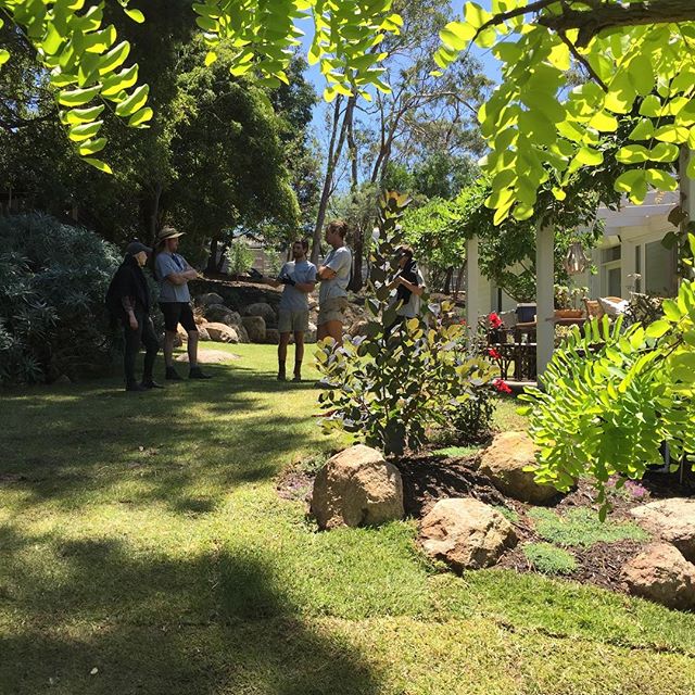 Debrief after a great day's work at Mt Eliza! @bushprojects design really coming together!!! #melbournelandscape #landscapeconstruction