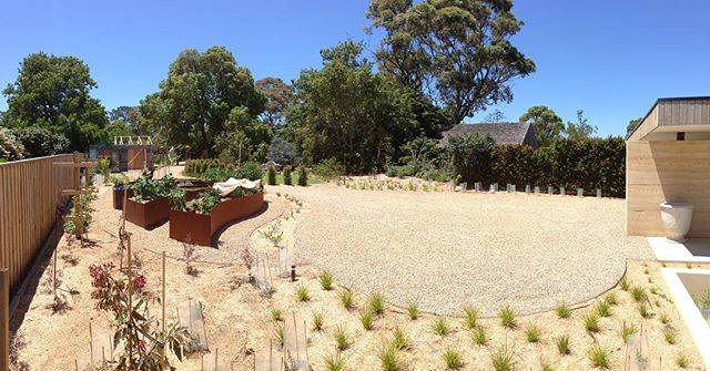 Our Somers project is completed after 5 months of very hard work by our landscaping team and it looks stunning! Can't wait to see it in 12 months with some growth... #lucidalandscapes #landscapeconstruction #melbournelandscaping