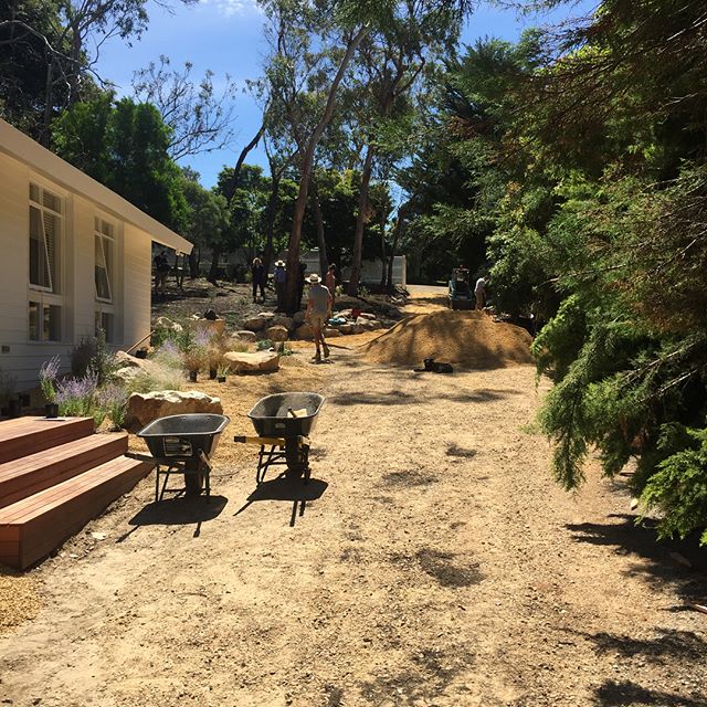 Mt Eliza project just about there, great to get down the finishing materials, but it's all the subsurface works that really make a landscape endure... @bushprojects #landscapeconstruction #lucidalandscapes #dreamgardens #itsallinthepreparation