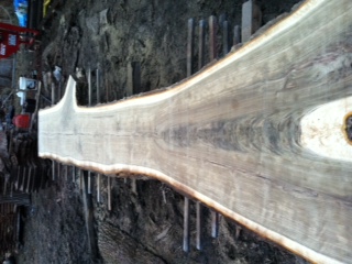 15 black walnut slabs