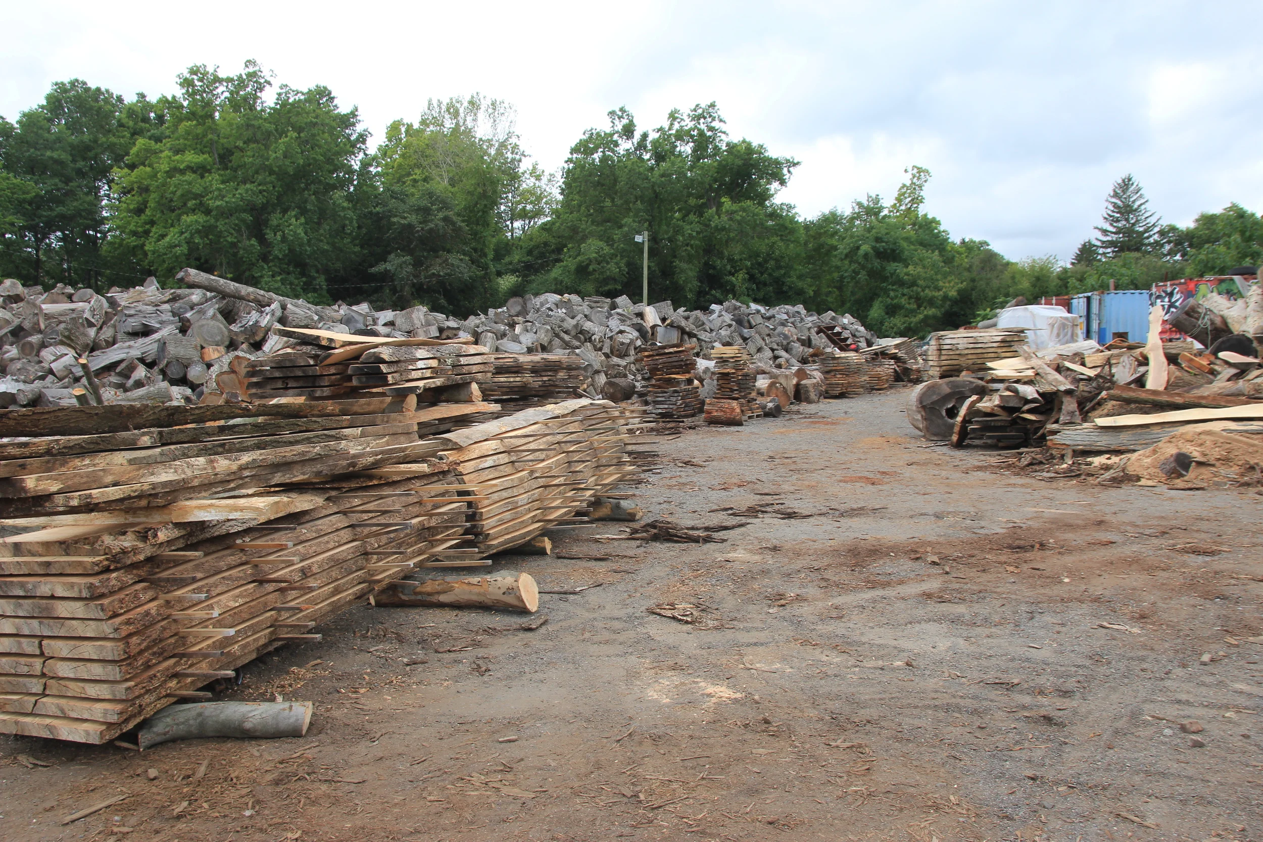 Milling Mondays Have Yielded More Than a Few Slabs Thus Far...