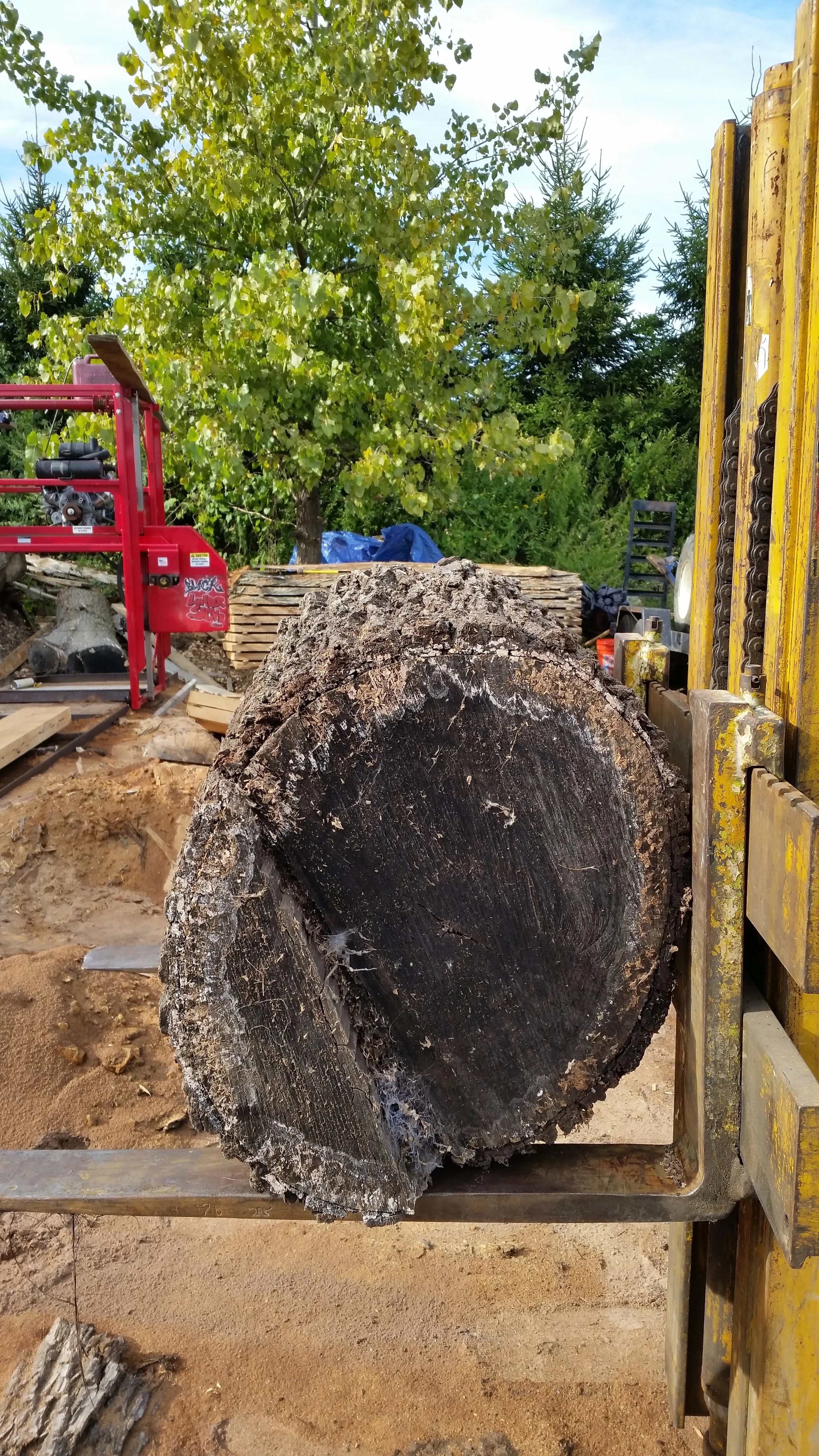 A view of the log from its other side. Must say the little forklift is quite a work horse!
