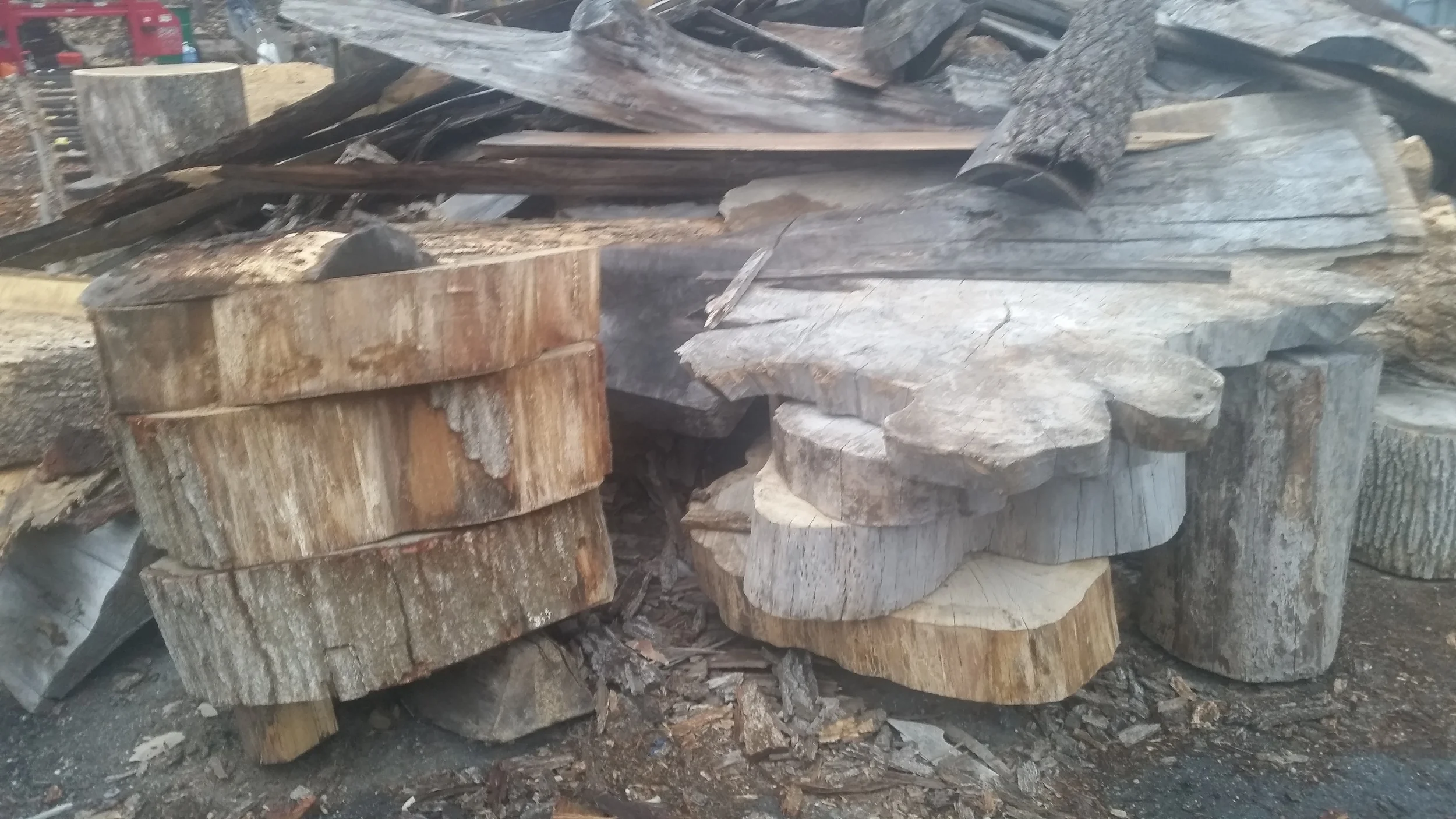 Stumps 10.jpg