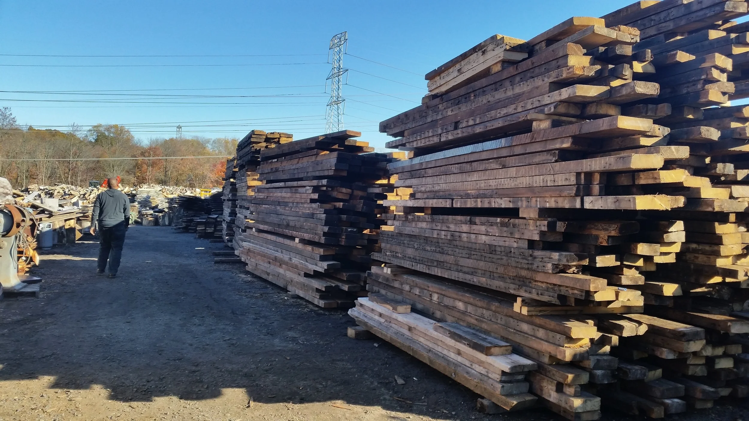 Master of all he surveys..