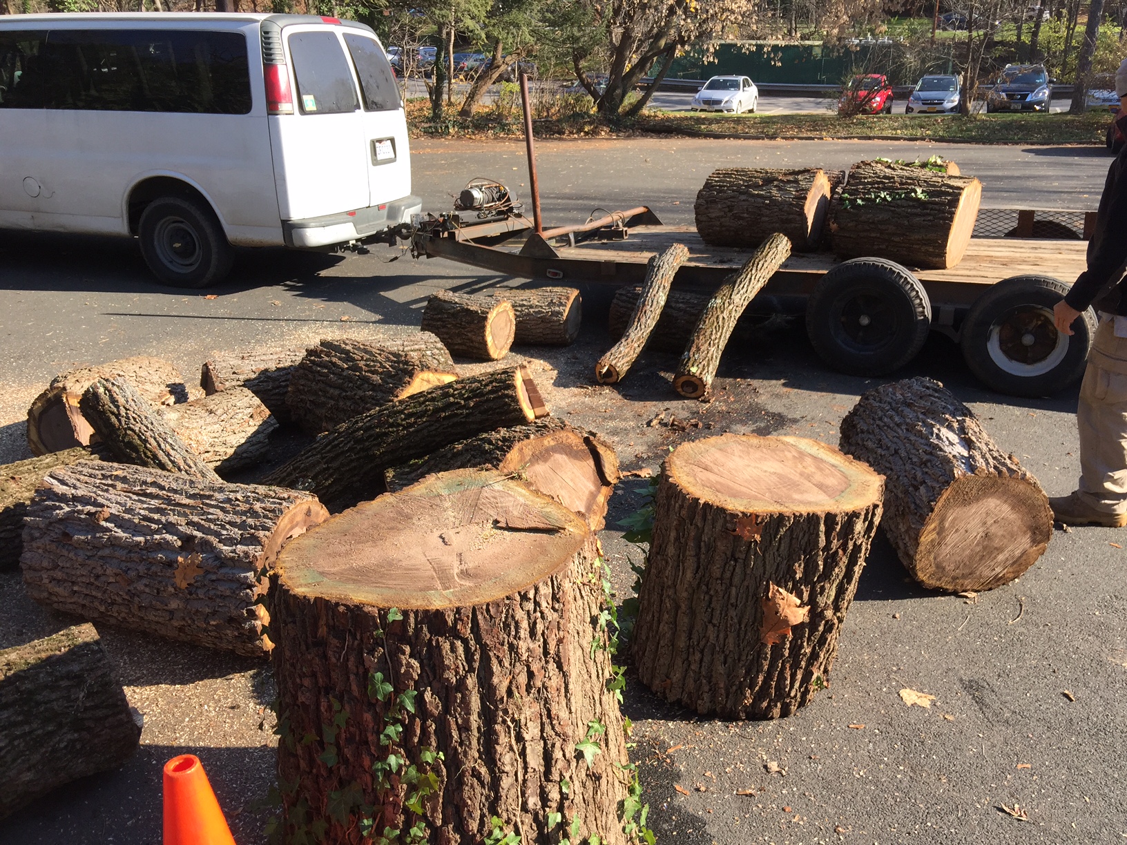 Scarsdale Stumps.jpeg