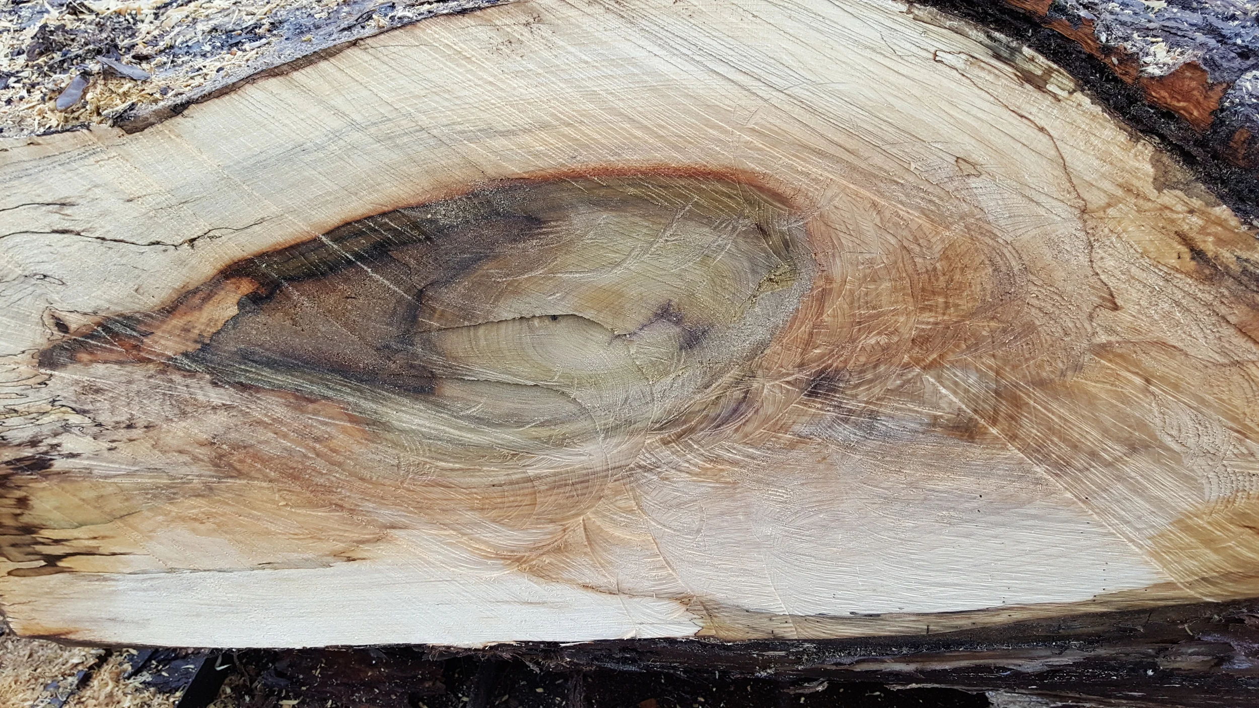 A Promise of Things to Come