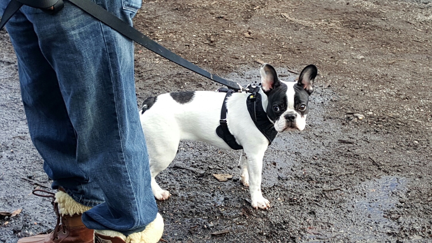 Sky stopped by with her dad to view some wood
