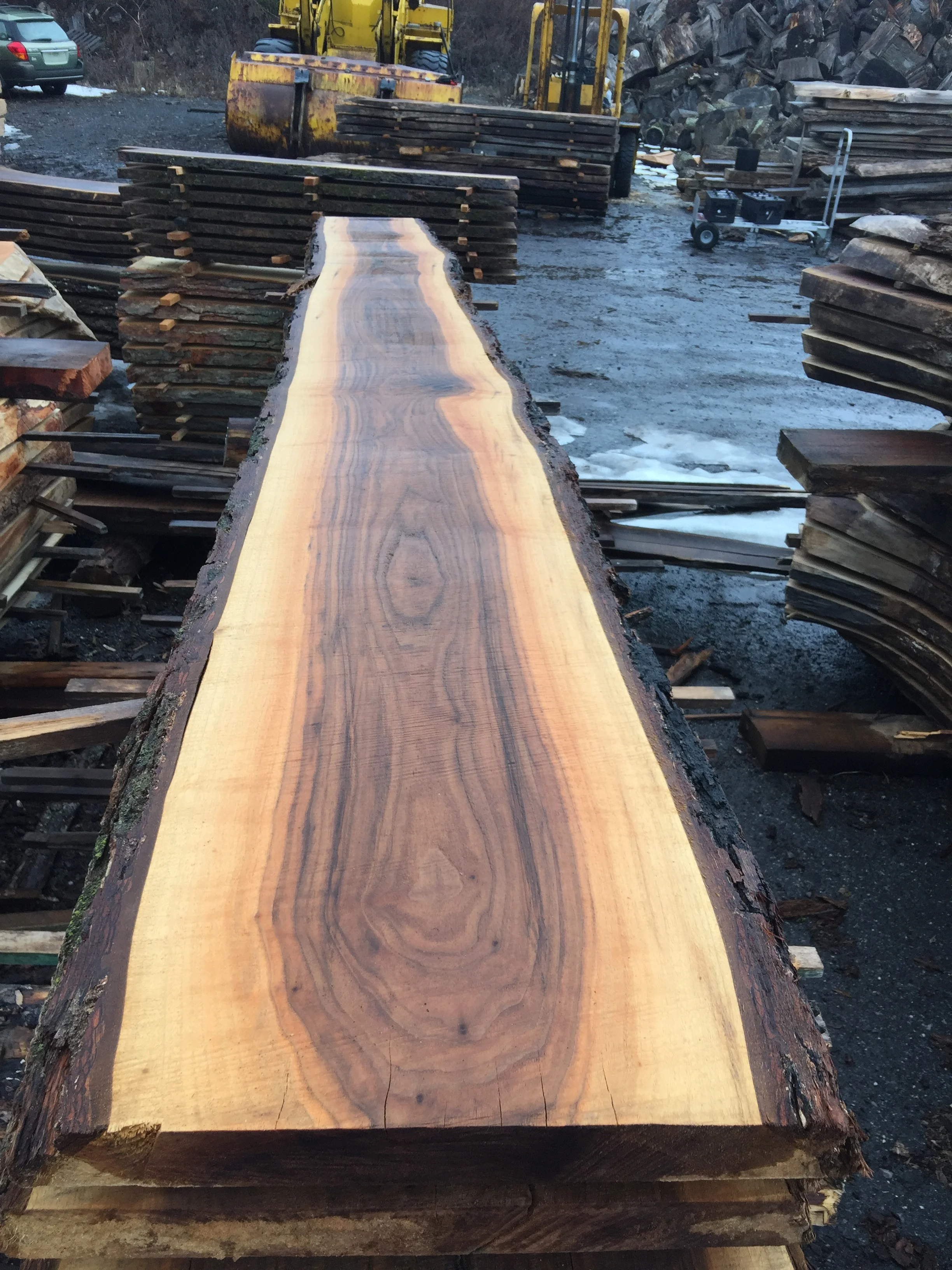 Walnut