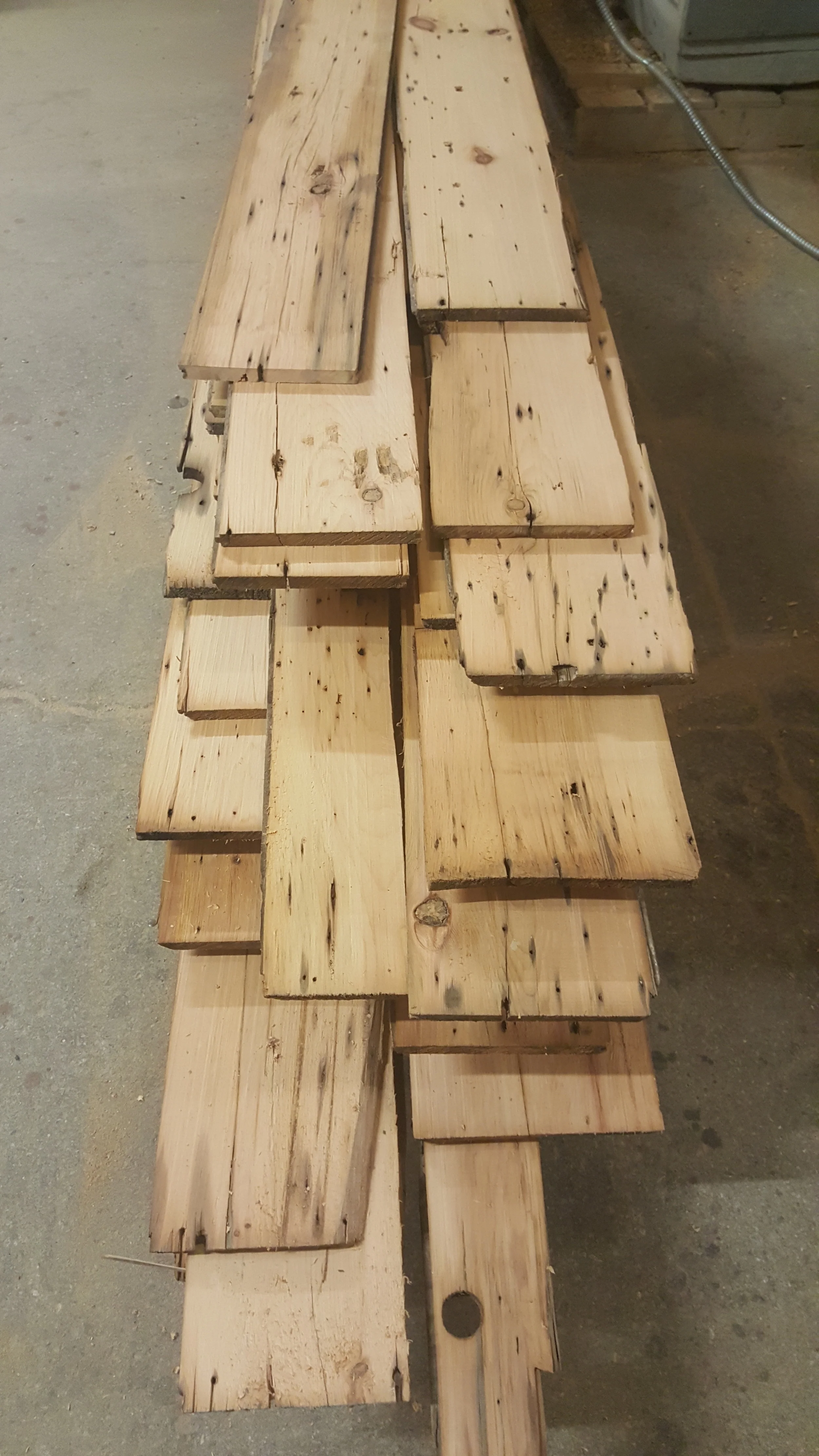 White Pine