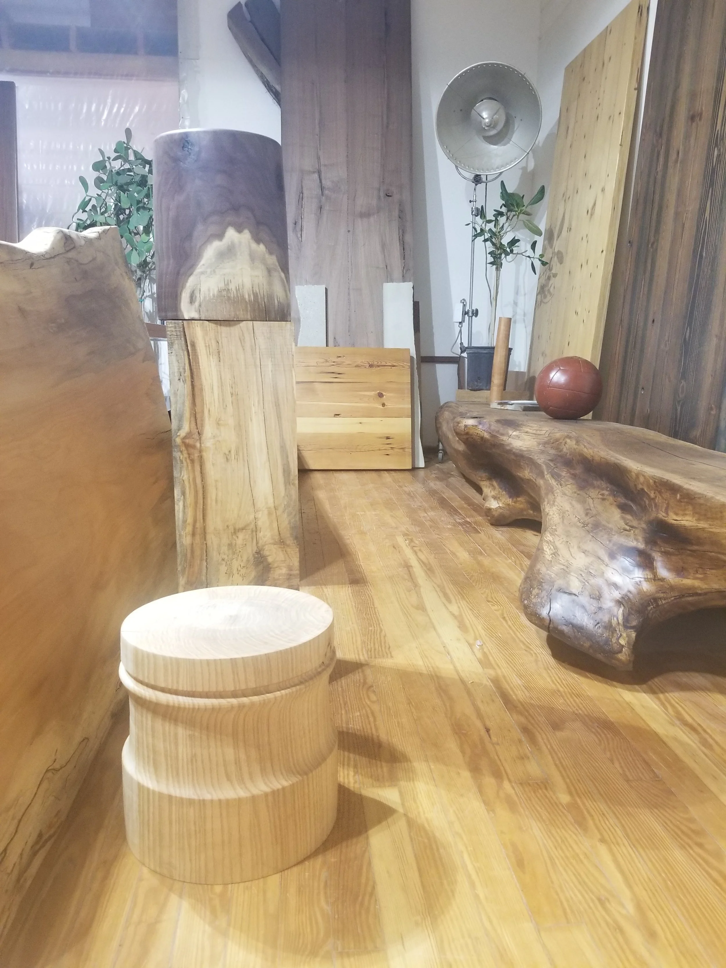 Black Walnut stump and White Oak stump (on floor)