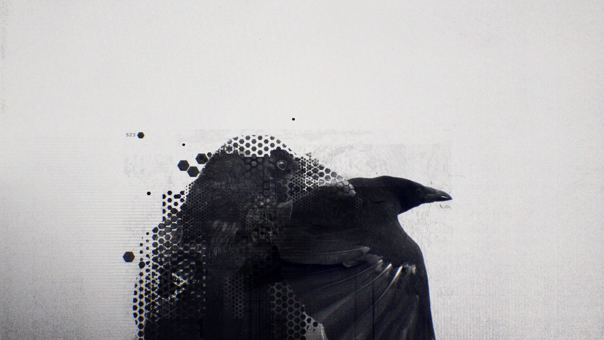 Raven_logo_v002.jpg