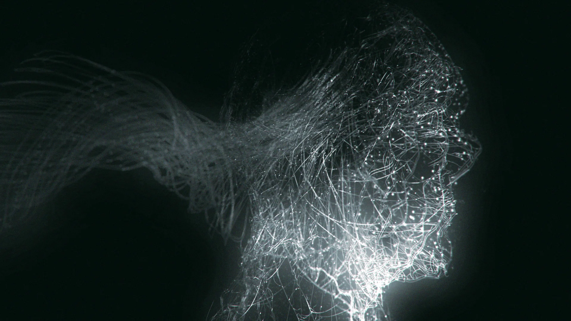 FaceNodes_v003.jpg