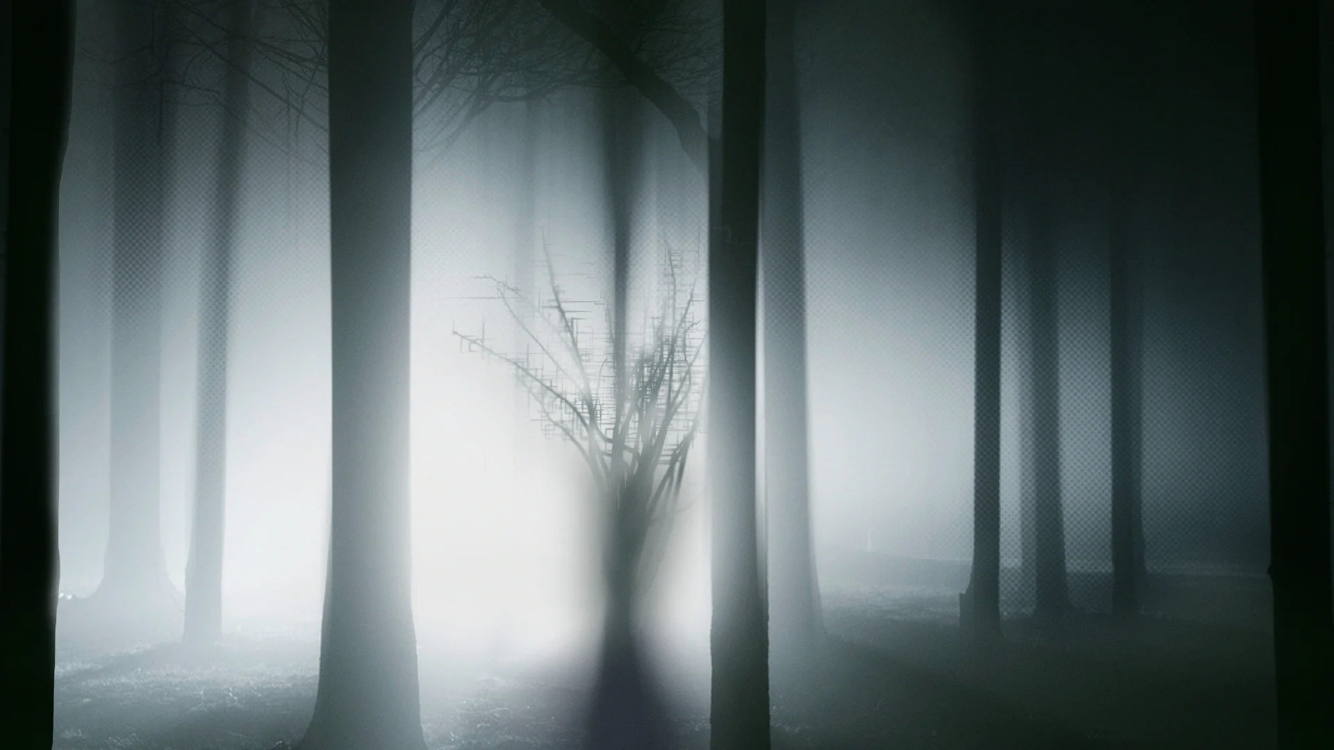 Forest_v002.jpg