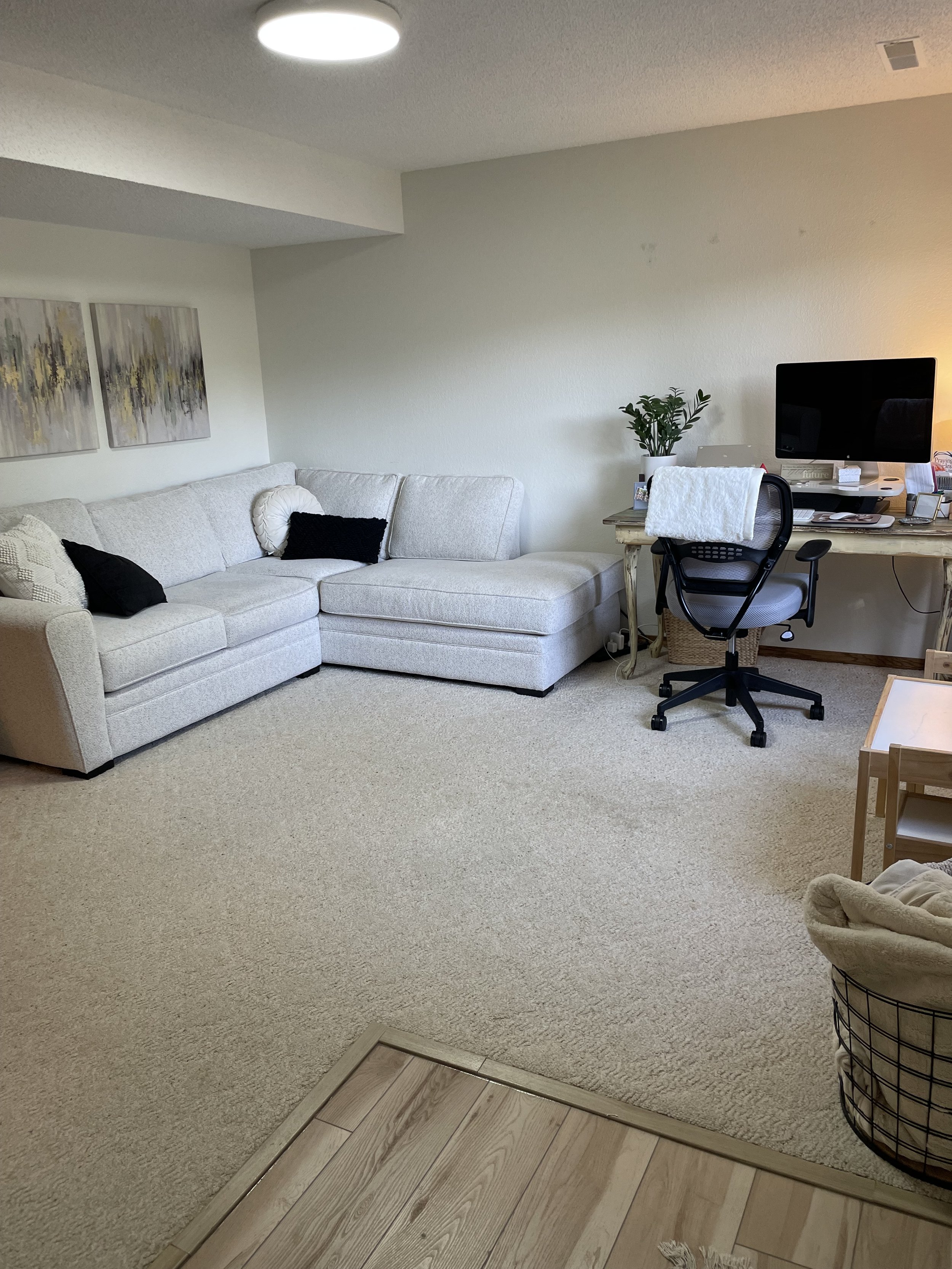 Walk-Out Basement