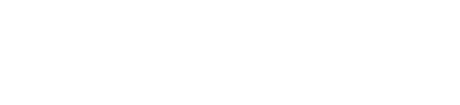 WiseBodies - Whole Being Sex Education For Every Body