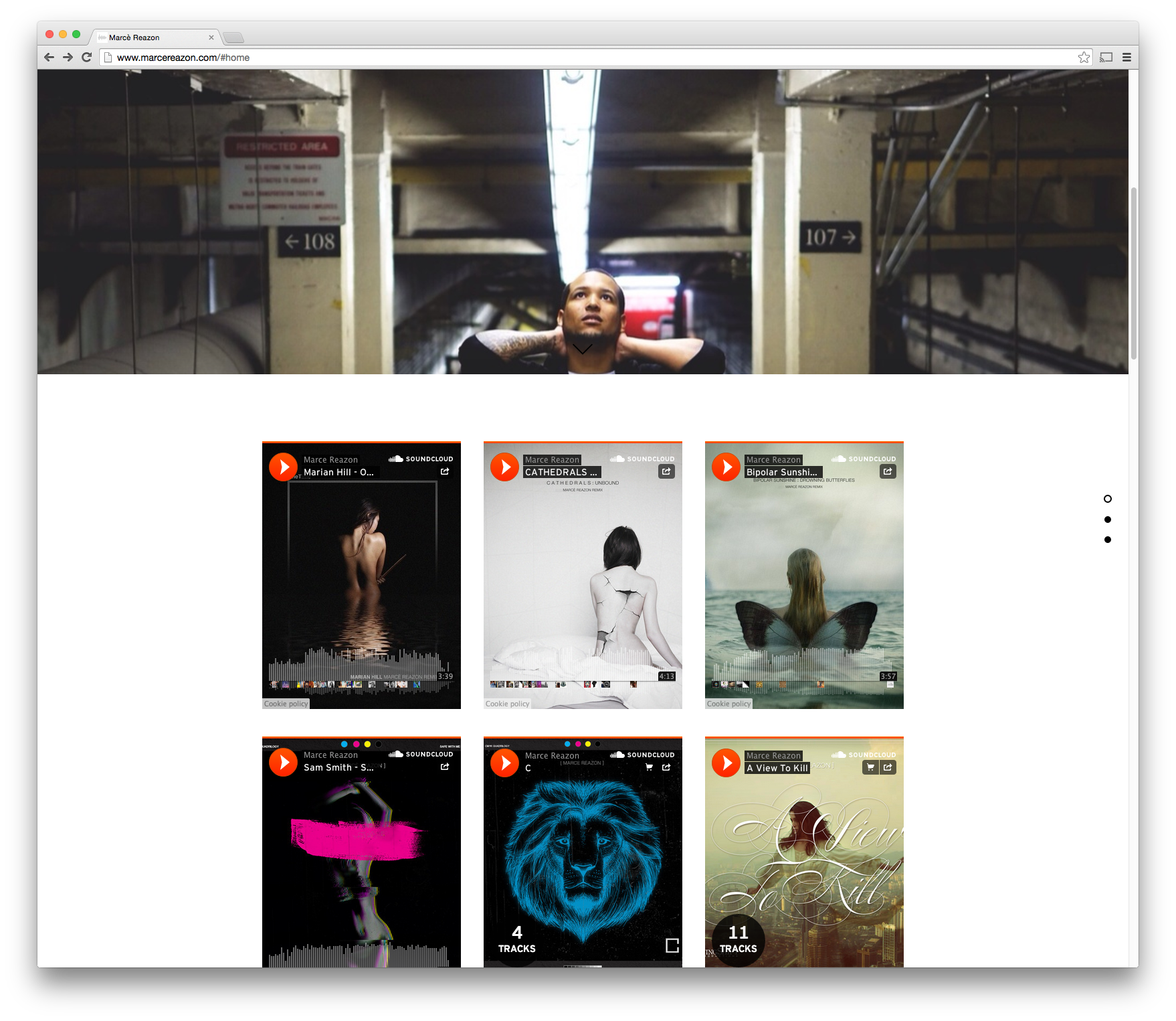 Marcereazon Website2.png
