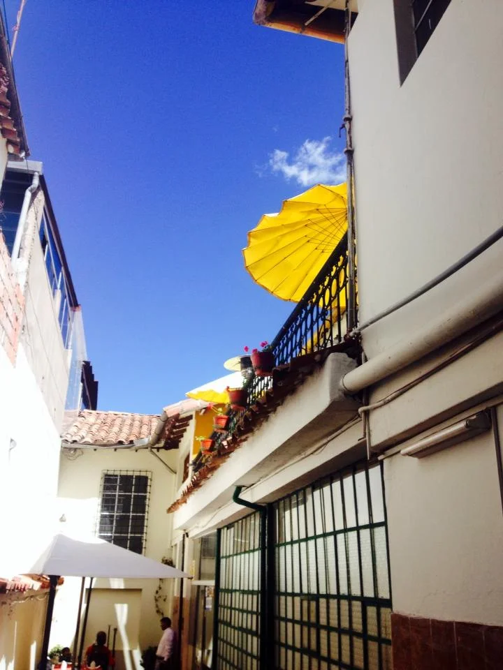 Sun-kissed umbrellas peek over to say hello!