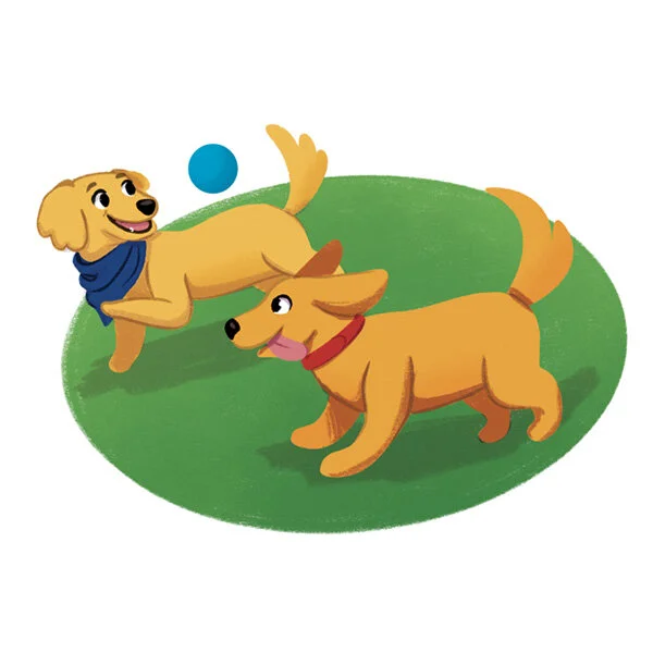 Where Did Spark Go 03.jpg