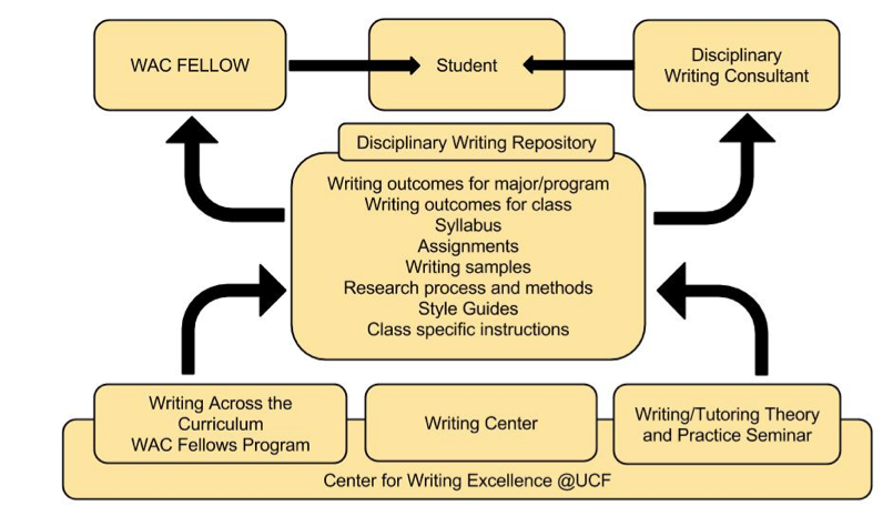 figure 1: to support student learning, faculty complete a one-semester wac fellowship and writing tutors complete a three credit-hour course and internship in the writing center before becoming a disciplinary writing consultant in the university writing center