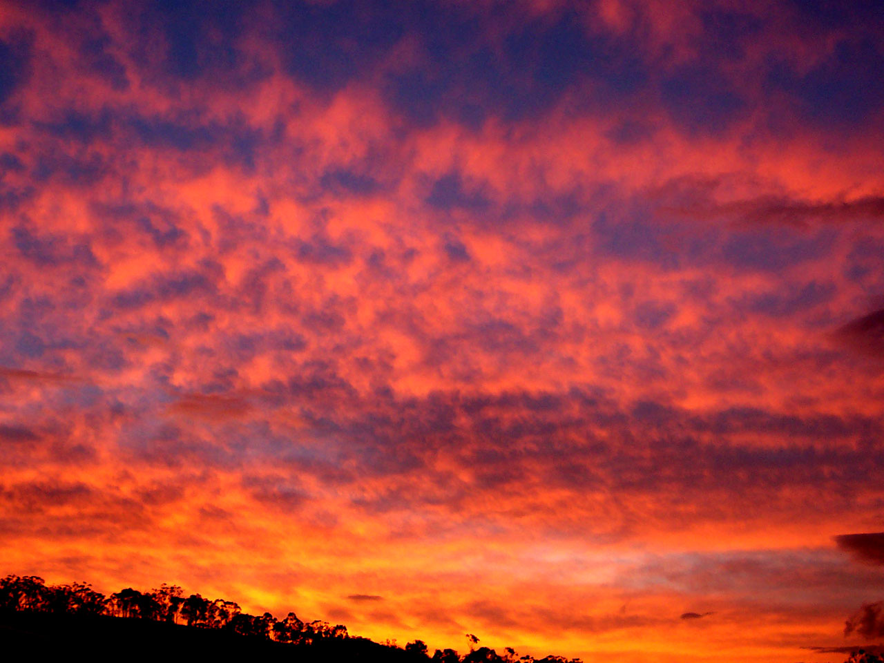 "Crimson Sunset" -- from Wikimedia Commons. 
