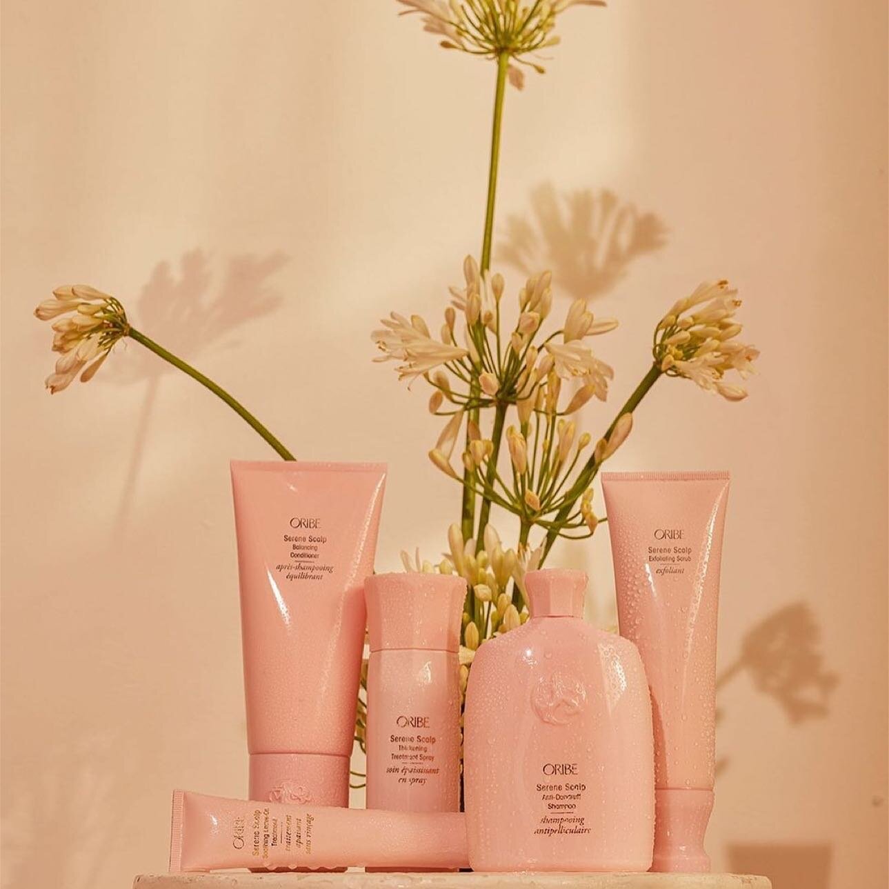The original Serene Scalp collection, with Anti-Dandruff &amp; Balancing solutions for healthier hair and scalp. 💗

✨Serene Scalp Anti-Dandruff Shampoo: this gentle treatment cleanser, formulated with salicylic acid, relieves &amp; prevents dandruff