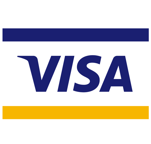 Visa Website.png