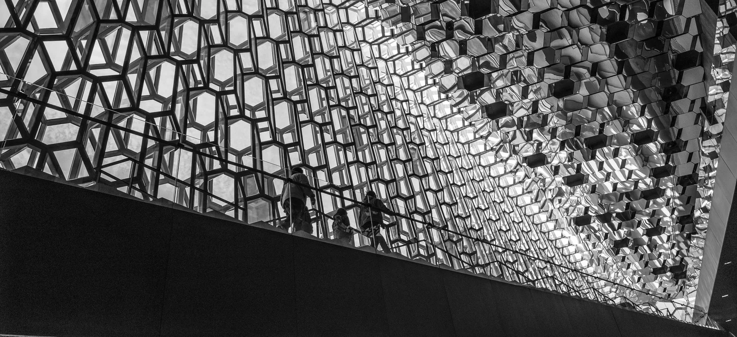 L1035355.jpg