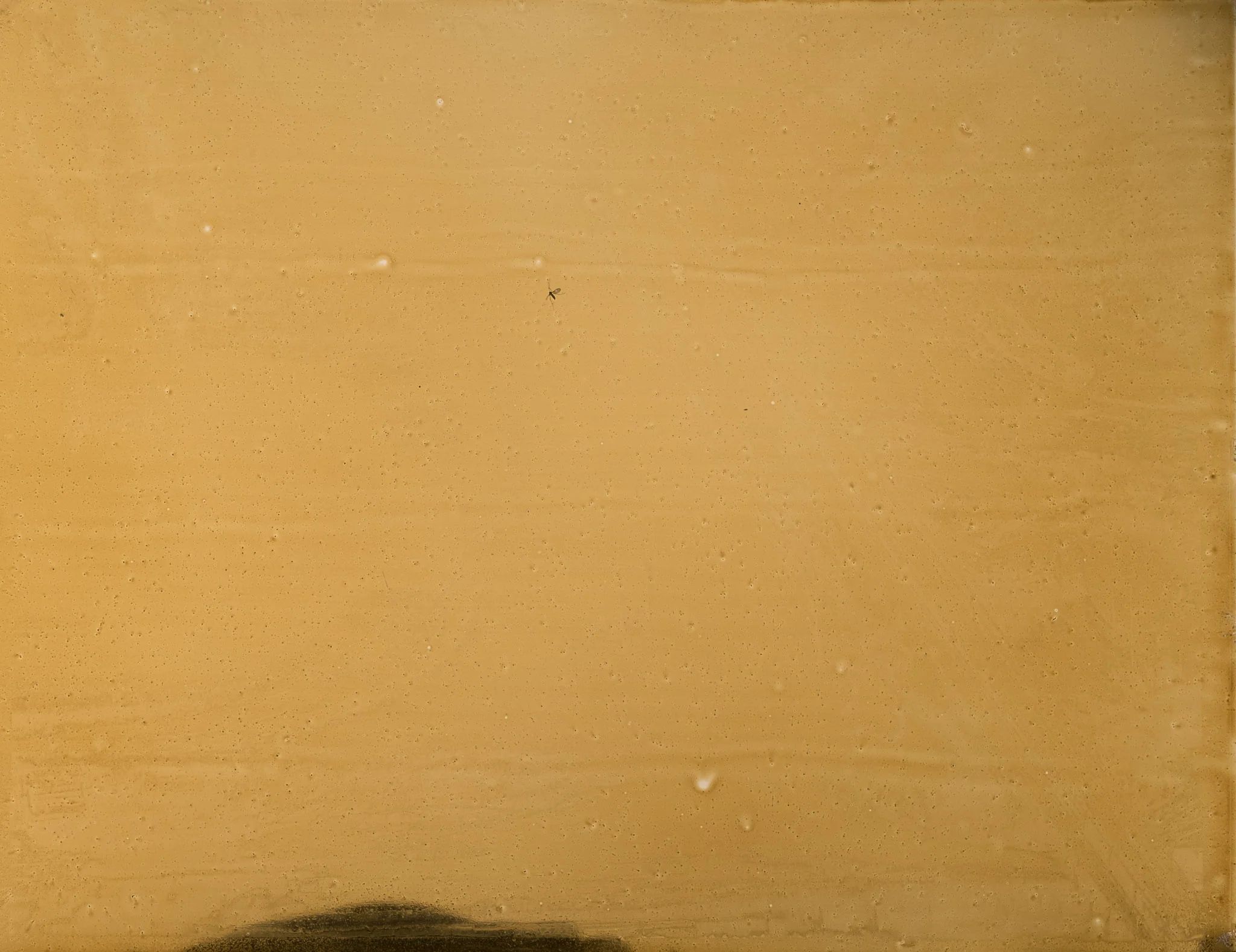 Open Earth with Pipeline (flat light). Note insect.