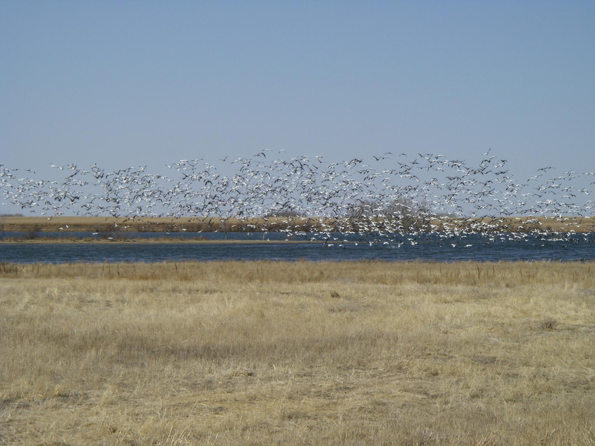 image417.jpg
