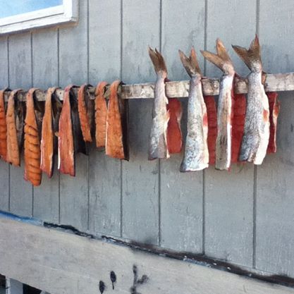 Drying Fish.jpg