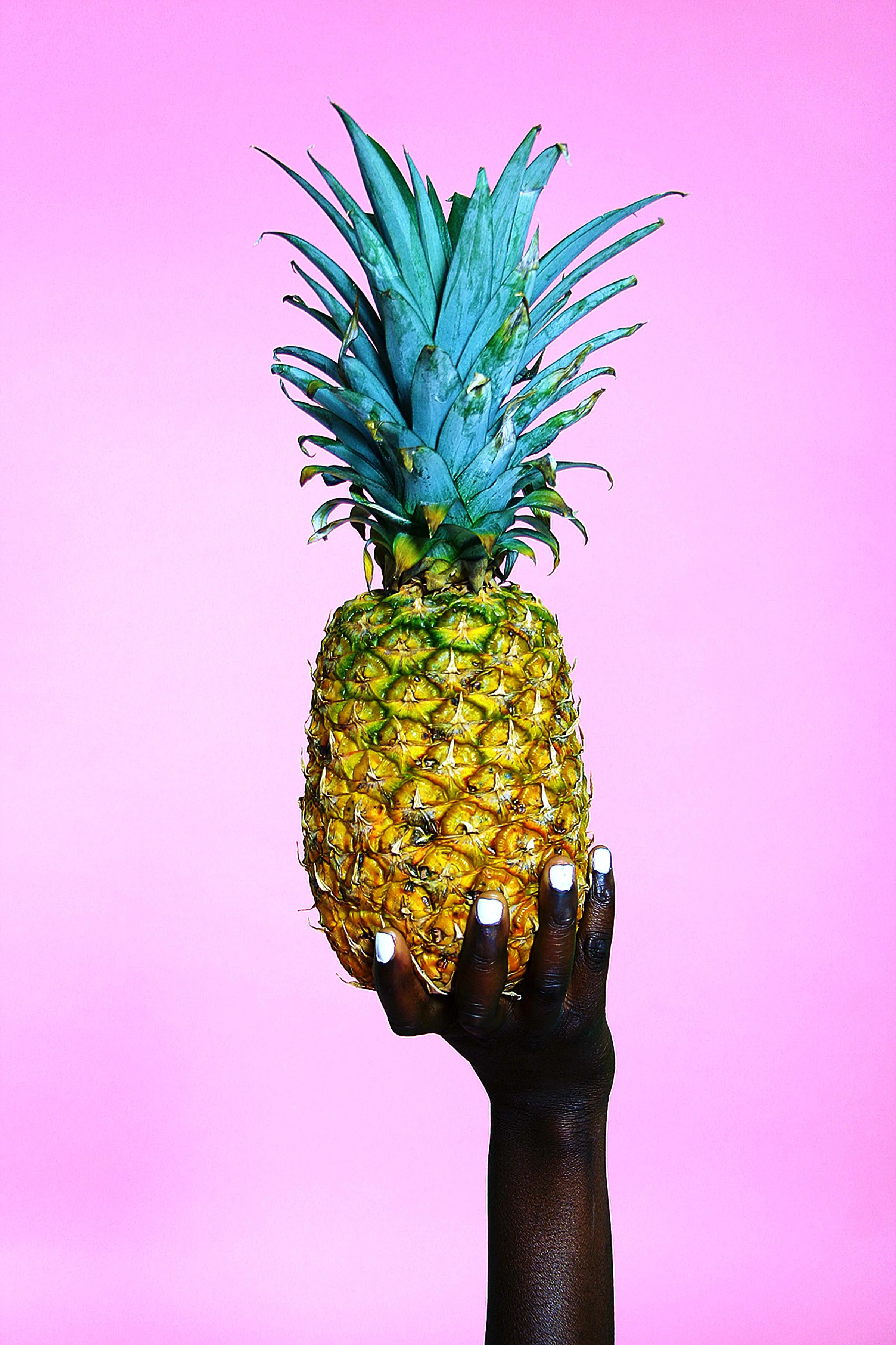 PINA' (Dexter R. Jones).jpg