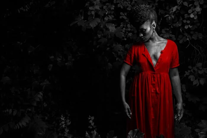 THE_RED_REBIRTH(SmallWarner).jpg