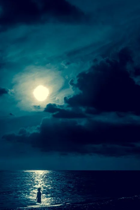 SON_BYTHE_MOONLIGHT(Smallwarner).jpg