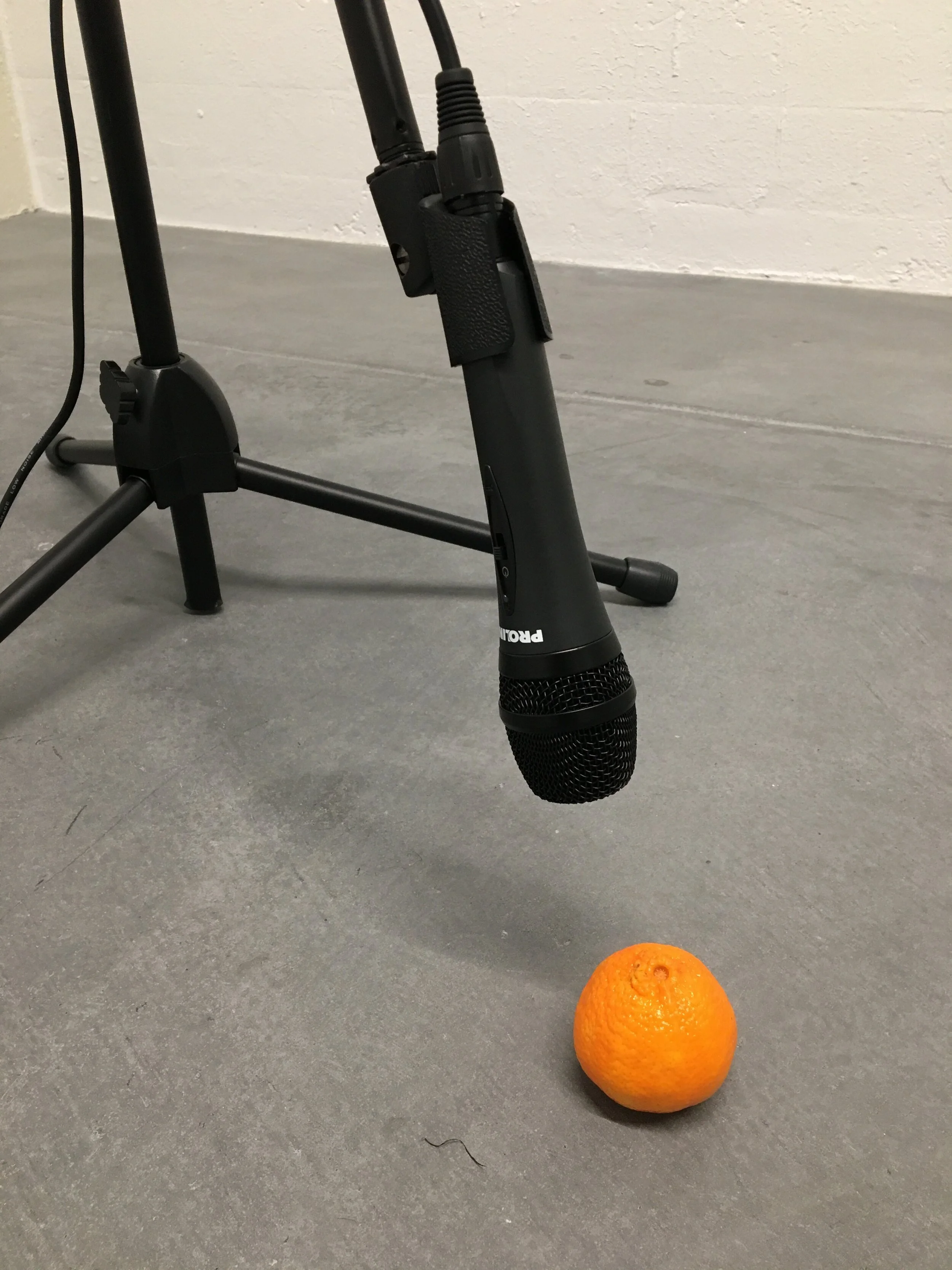 YOUR LAST BREATH WAS THE SOUND THAT'S MOST DEAFENING