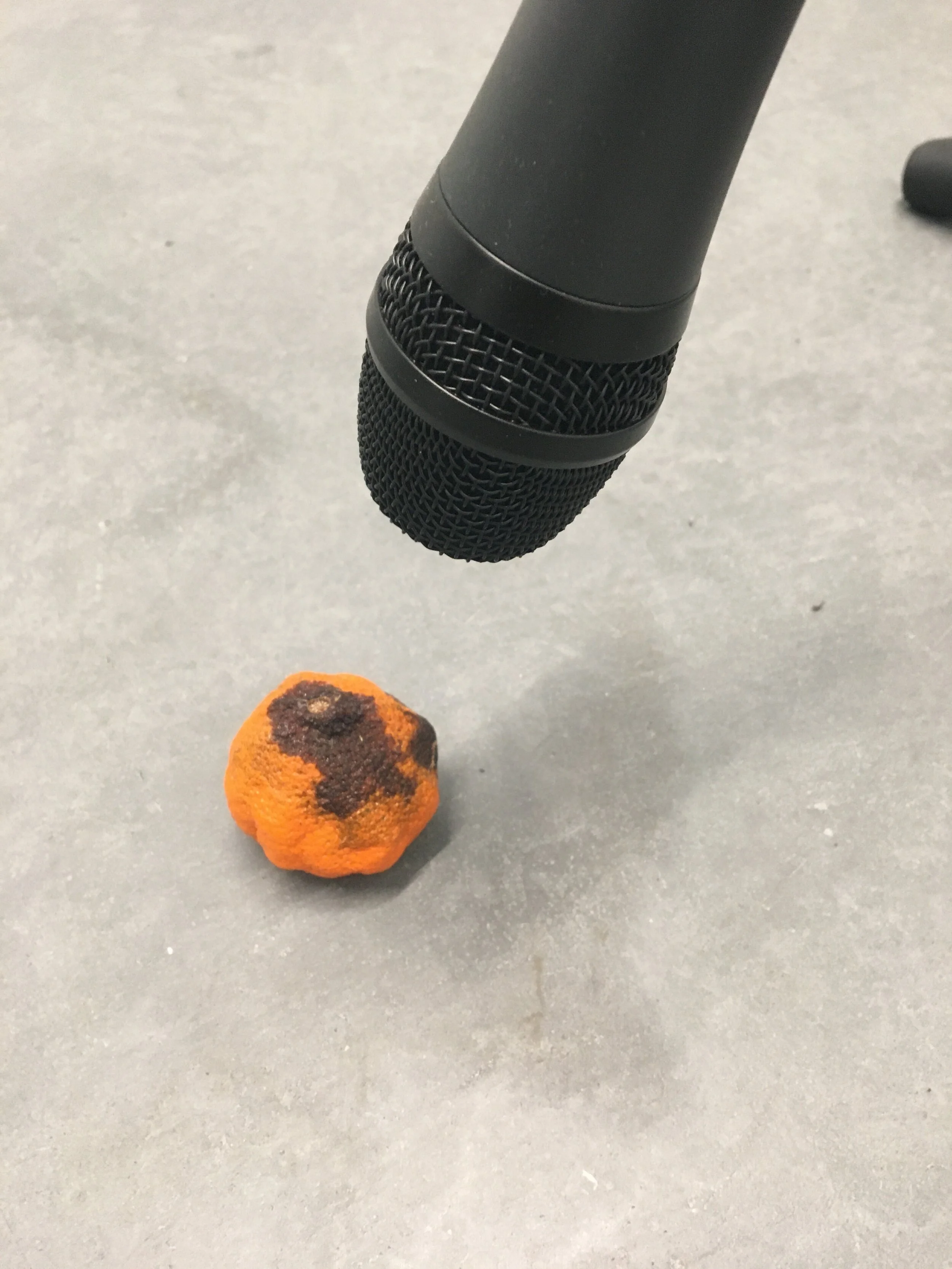 YOUR LAST BREATH WAS THE SOUND THAT'S MOST DEAFENING