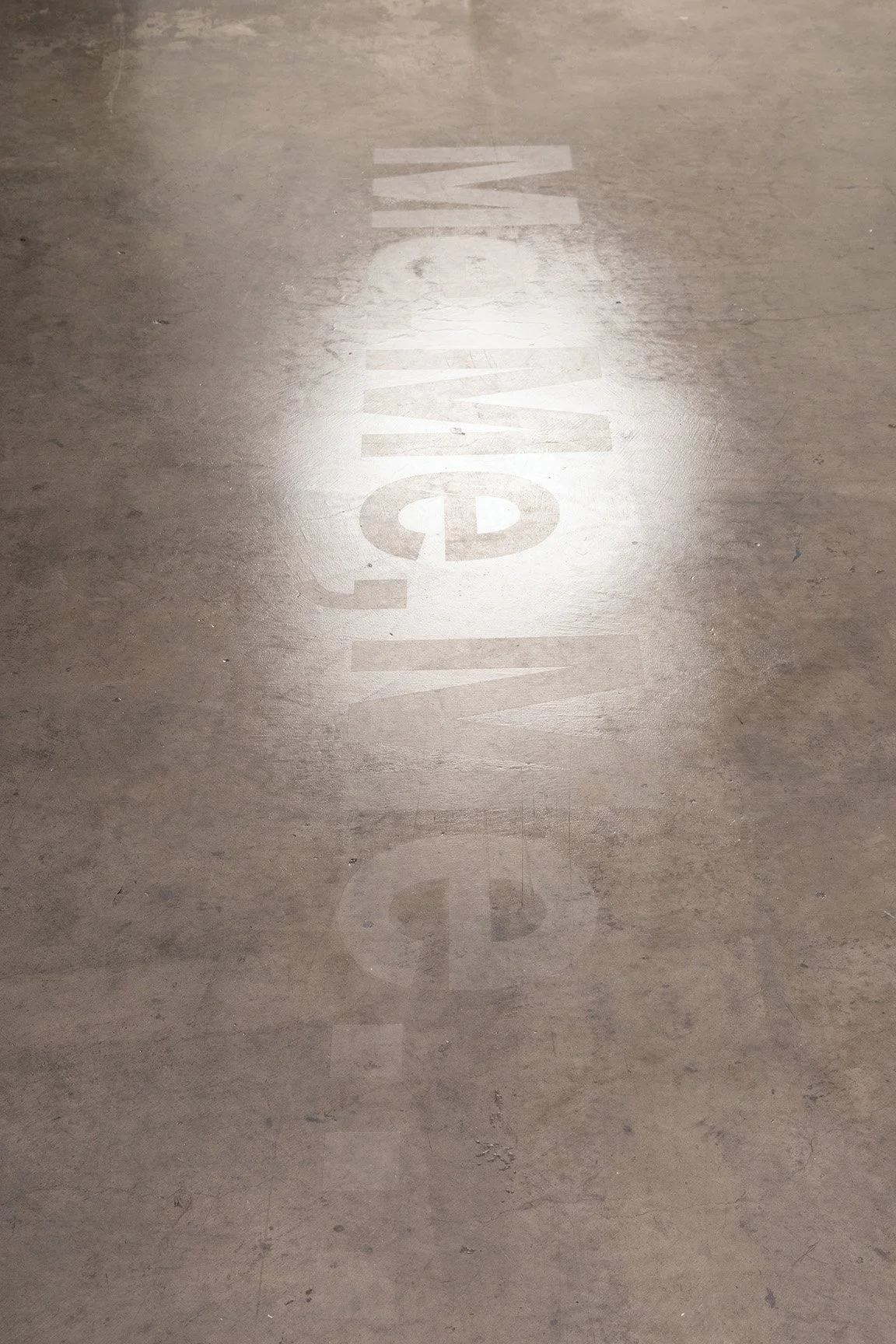 lex-me-me-me copy.jpeg