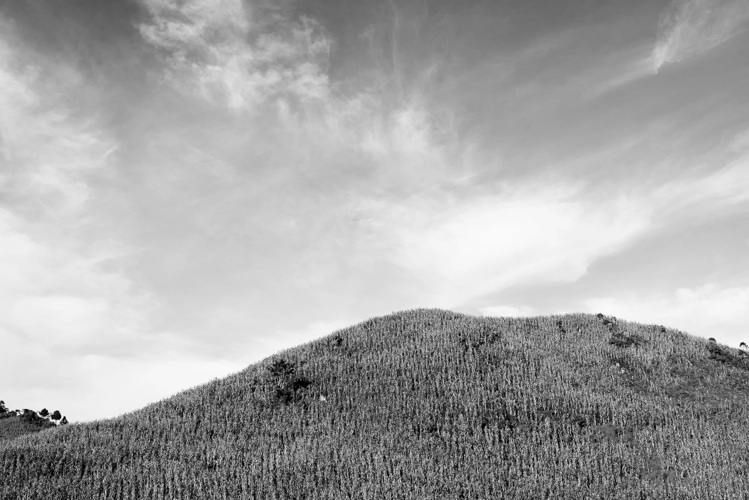 _DSC9209-2.jpg