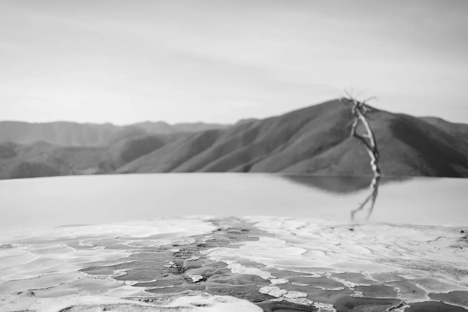 _DSC4306-2.jpg