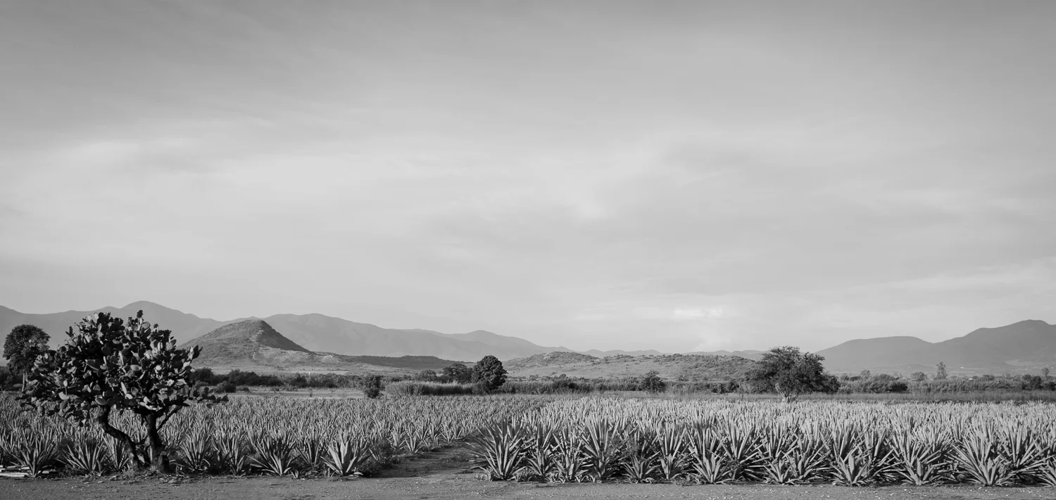 _DSC4220-Edit-2.jpg